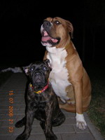 gal/Daisy Bona/_thb_DB 10.jpg